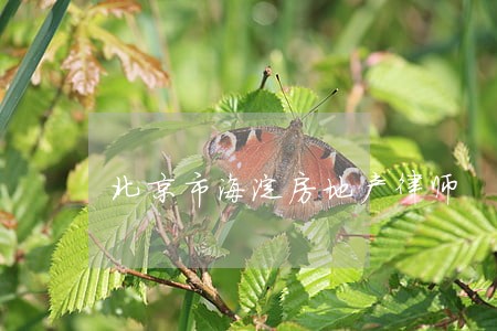 北京市海淀房地产律师 北京市海淀房地产律师