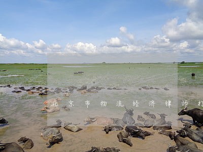 北京市物流经济律师打官司 北京市物流经济律师打官司