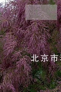 北京市环保拆迁律师找谁好 北京市环保拆迁律师找谁好