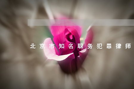 北京市知名职务犯罪律师咨询平台 北京市知名职务犯罪律师咨询平台