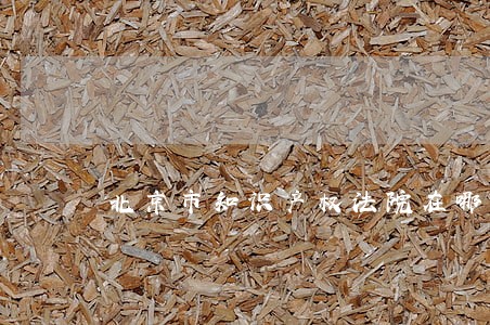 北京市知识产权法院在哪个区