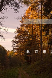 北京市离婚律师团队 北京市离婚律师团队