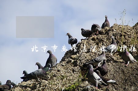 北京市离婚法院收费标准 北京市离婚法院收费标准