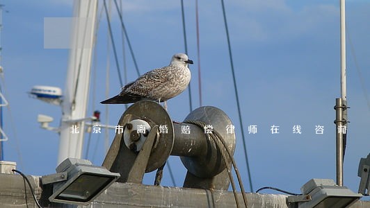 北京市离婚赔偿律师在线咨询 北京市离婚赔偿律师在线咨询