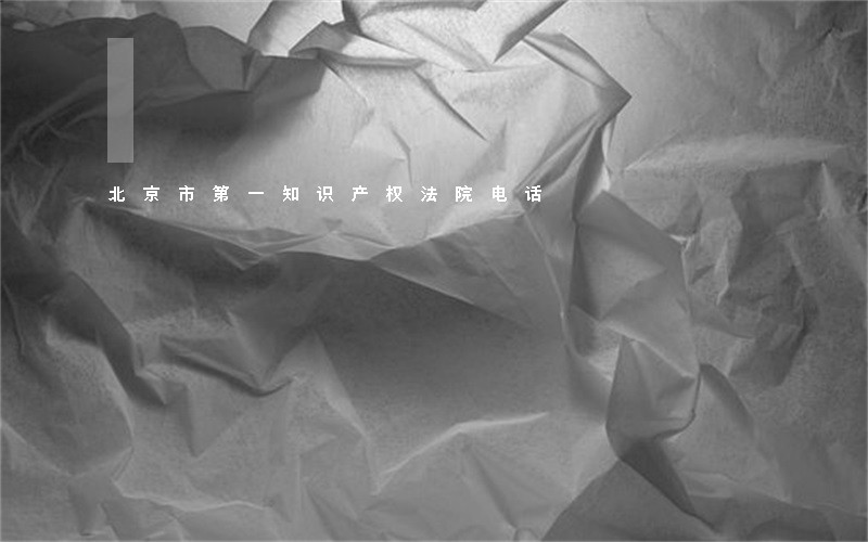 北京市第一知识产权法院电话