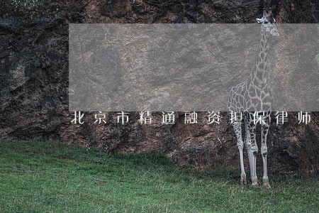北京市精通融资担保律师 北京市精通融资担保律师