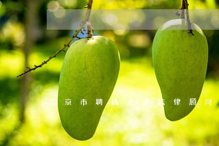 北京市聘请企业法律顾问 北京市聘请企业法律顾问