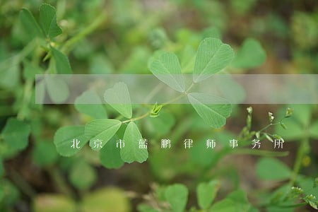 北京市蓝鹏律师事务所 北京市蓝鹏律师事务所
