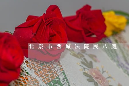 北京市西城法院民八庭 北京市西城法院民八庭