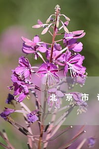 北京市评价好的债务官司律师 北京市评价好的债务官司律师