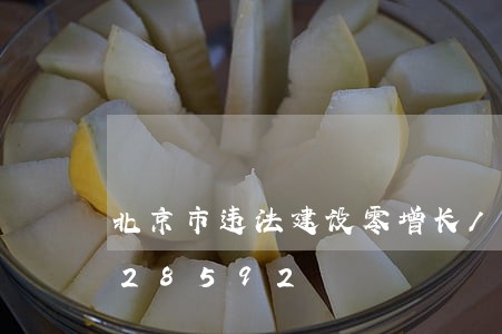北京市违法建设零增长/2023012928592 北京市违法建设零增长/2023012928592