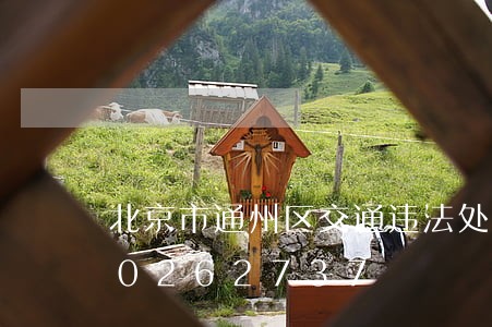 北京市通州区交通违法处理/2023020262737 北京市通州区交通违法处理/2023020262737