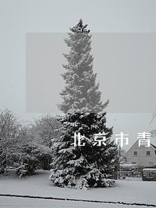 北京市青少年法律援助 北京市青少年法律援助