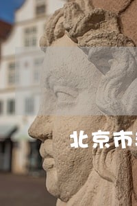 北京市非常专业的债务律师有哪些 北京市非常专业的债务律师有哪些