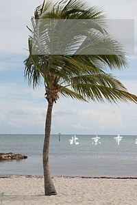 北京市验伤司法鉴定机构 北京市验伤司法鉴定机构