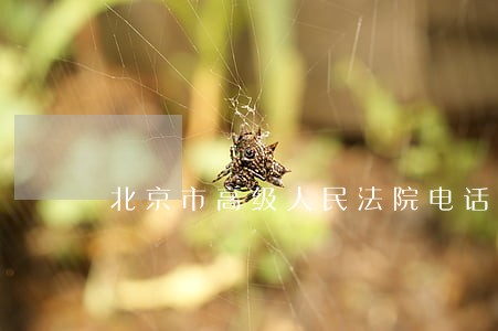 北京市高级人民法院电话号码