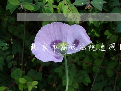 北京市高级法院选调遴选 北京市高级法院选调遴选