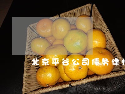 北京平谷公司债务律师事务所 北京平谷公司债务律师事务所