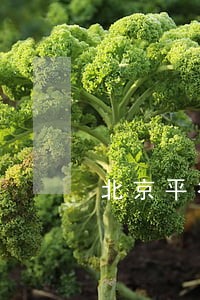北京平谷区医疗鉴定所 北京平谷区医疗鉴定所
