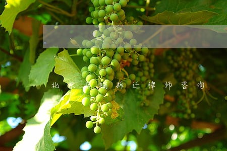 北京店铺拆迁律师咨询 北京店铺拆迁律师咨询