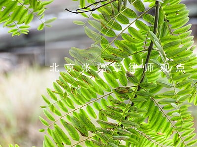 北京张蕴章律师观点