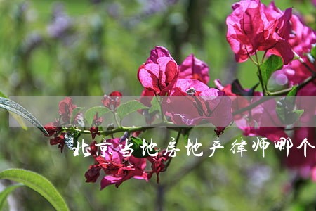 北京当地房地产律师哪个好 北京当地房地产律师哪个好