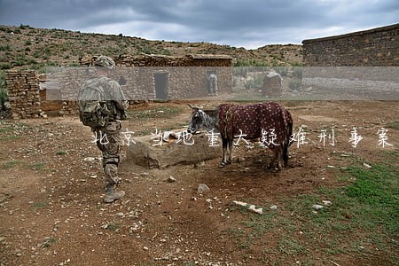 北京当地重大疑难刑事案律师团 北京当地重大疑难刑事案律师团