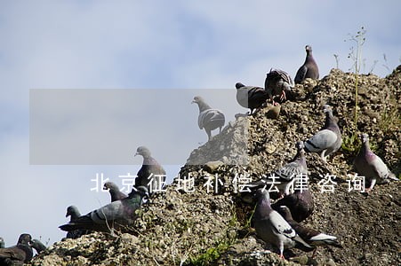 北京征地补偿法律咨询 北京征地补偿法律咨询