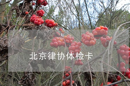 北京律协体检卡