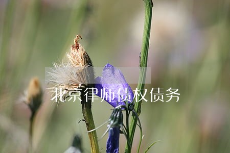 北京律师债权债务 北京律师债权债务