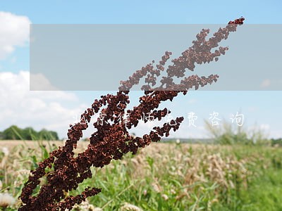 北京律师免费咨询 北京律师免费咨询