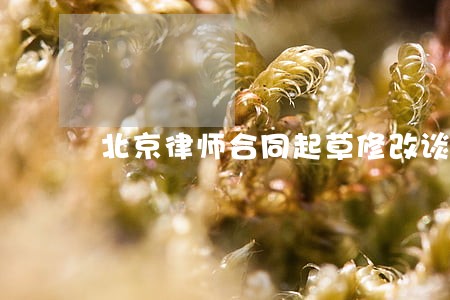 北京律师合同起草修改谈判 北京律师合同起草修改谈判