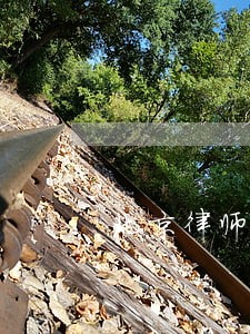 北京律师咨询费