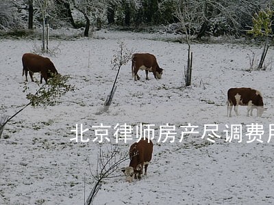 北京律师房产尽调费用 北京律师房产尽调费用