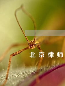 北京律师收费合同纠纷 北京律师收费合同纠纷