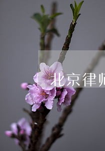 北京律师理财合同纠纷 北京律师理财合同纠纷