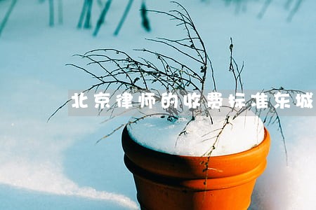 北京律师的收费标准东城 北京律师的收费标准东城