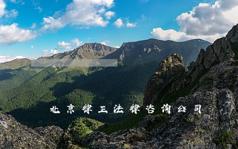 北京律正法律咨询公司 北京律正法律咨询公司