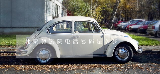 北京微法院电话号码是多少 北京微法院电话号码是多少