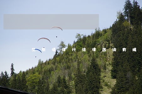 北京德律行法律咨询有限公司 北京德律行法律咨询有限公司