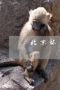 北京怀柔区房产律师网站 北京怀柔区房产律师网站