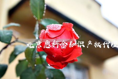 北京惠科金知识产权代理有限公司 北京惠科金知识产权代理有限公司