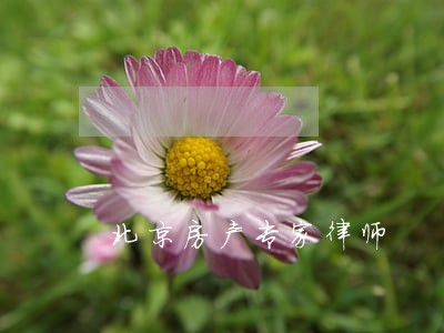 北京房产专家律师 北京房产专家律师