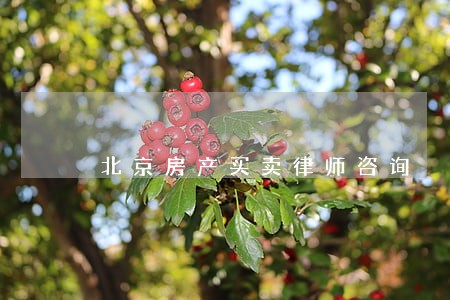 北京房产买卖律师咨询