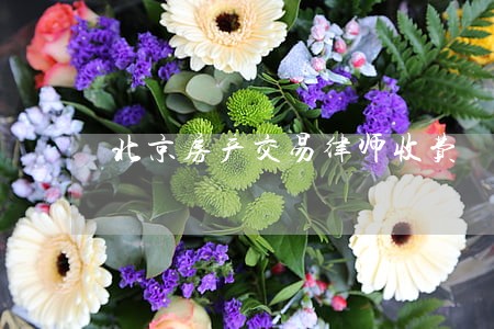 北京房产交易律师收费 北京房产交易律师收费