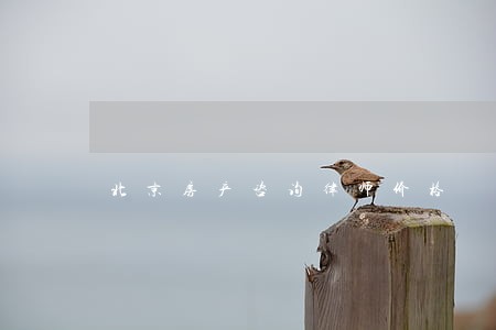 北京房产咨询律师价格 北京房产咨询律师价格