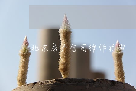 北京房产官司律师再审 北京房产官司律师再审