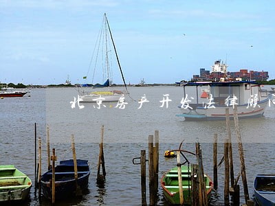 北京房产开发法律顾问 北京房产开发法律顾问