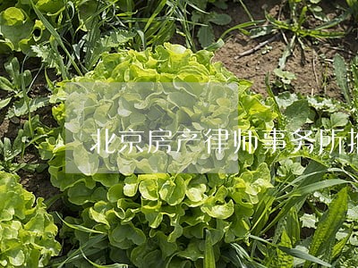 北京房产律师事务所推荐 北京房产律师事务所推荐
