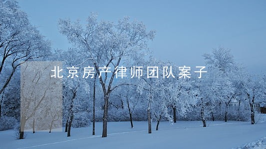 北京房产律师团队案子 北京房产律师团队案子